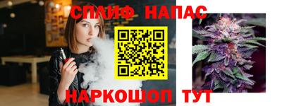 мдпв Гусь-Хрустальный