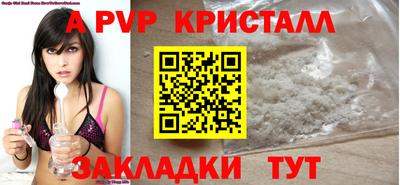 амф Гусев