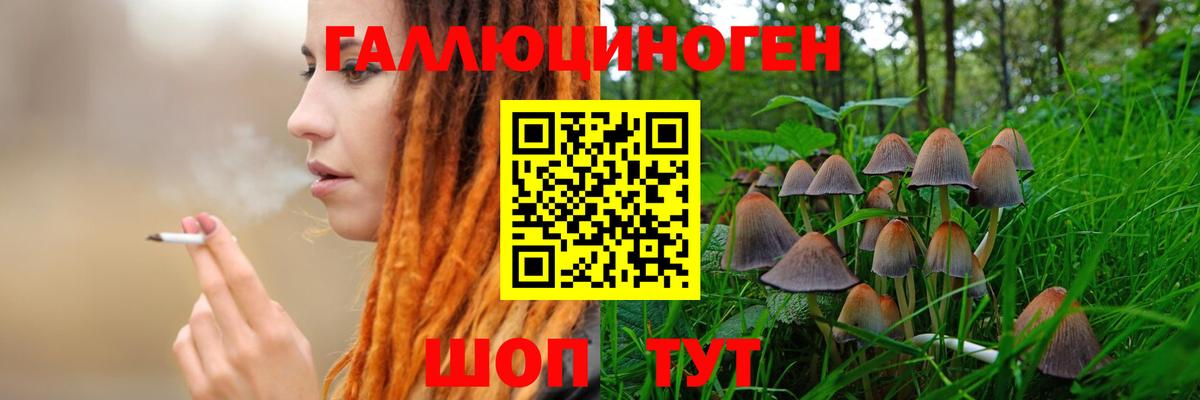 Псилоцибиновые грибы Cubensis  Галлюциногенные грибы Psilocybe  Нижний Новгород  Вход с VPN 